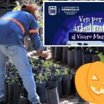 Invitan al “Halloween más ecológico del año” en el Vivero Municipal de Hermosillo